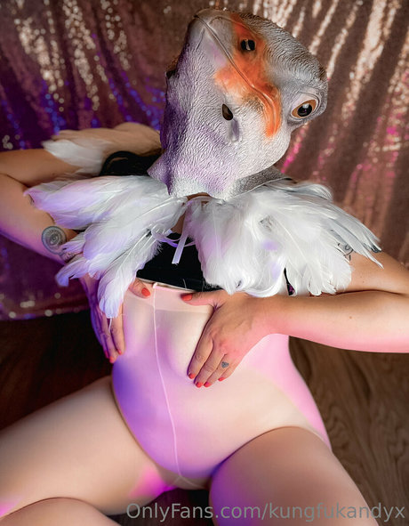 kungfukandyx ポルノスター HD 写真