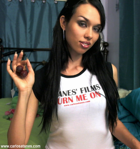 Dancing Bear 完璧なモデル ギャラリー