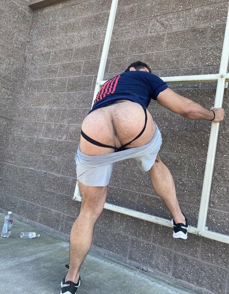 briefsbull 無料のスター 写真