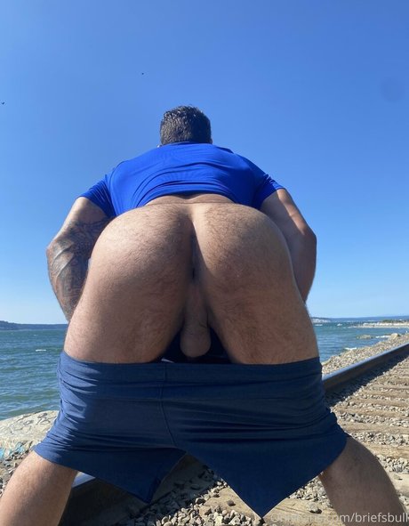 briefsbull ホットなポルノスター 写真