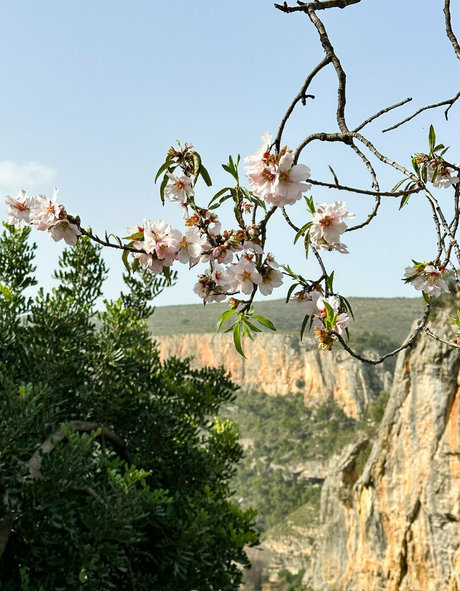 セクシーなブロンドのOnlyFans 無料セクシー アーカイブ