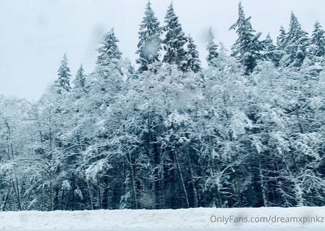 dreamxpinkz ホットなモデル 写真