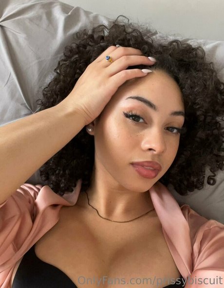 prissybiscuit 限定モデル ギャラリー