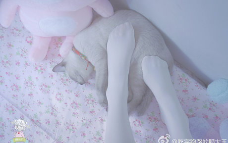 アジアのティーンオンリーファン 素敵 ギャラリー