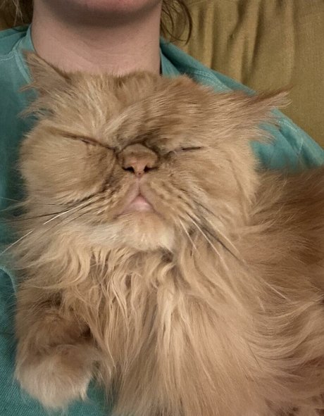 HoneyThorne top profile image