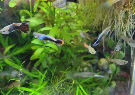 sonjahaze ポルノスター ヌード 写真