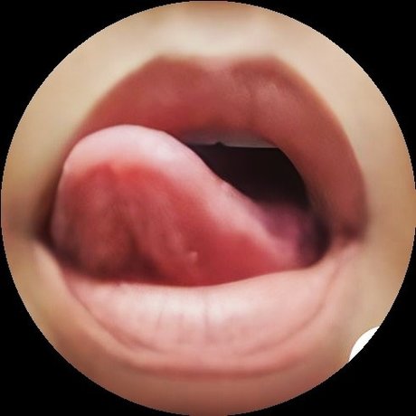 Vocali erotici スター 裸 写真