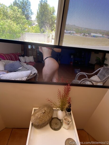 littlemiss トップモデル ギャラリー