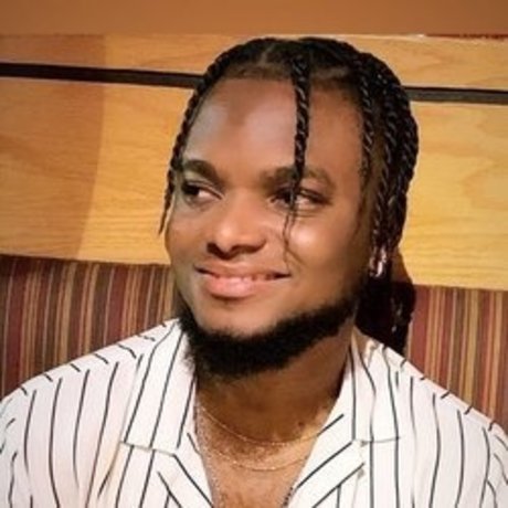 desola HDモデル 画像