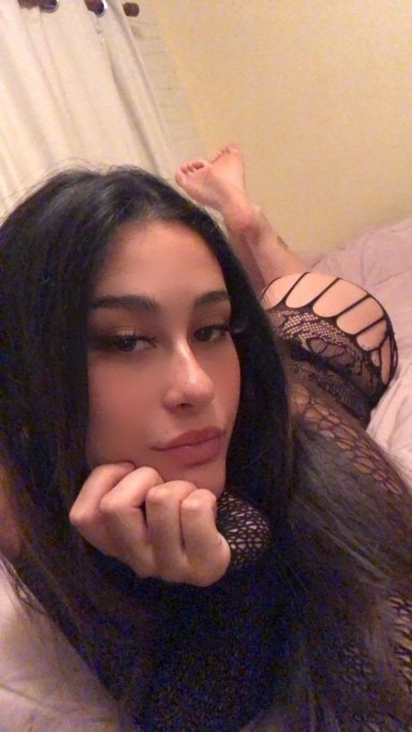 nia HDスター 写真