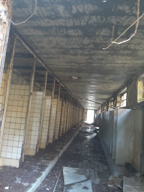 LordShwanzy 無料モデル アーカイブ