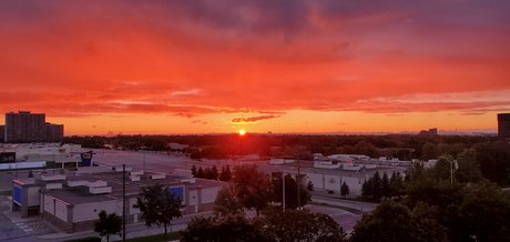 Duane Robinson ポルノスター ベスト 写真