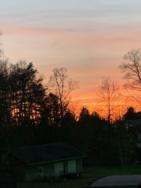 Lydia Lutz エロティック女優 ギャラリー