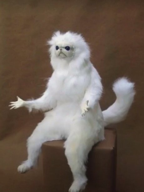 Mar Yay 高品質モデル ギャラリー