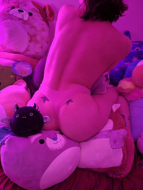 Maisy Flowers ポルノスター 写真