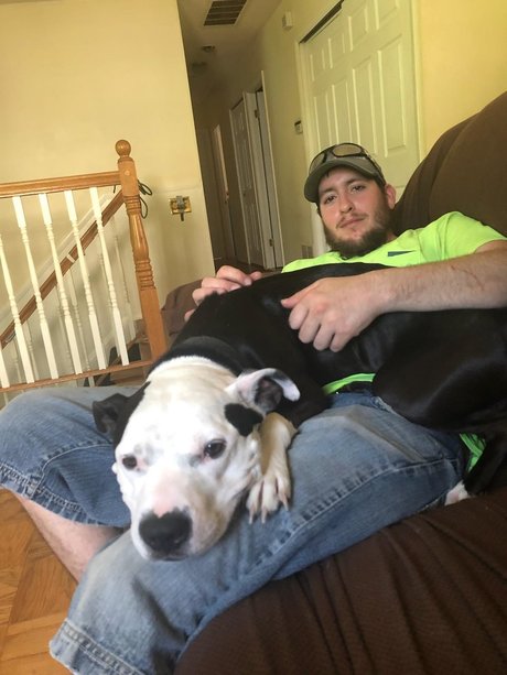 miller 無料スター ギャラリー