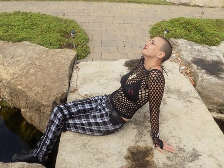 Dementra ホットスター 画像