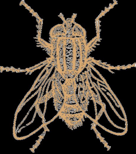 Model Individual アート女優 ギャラリー