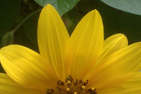 Mo Mouse82 xxx女優 ギャラリー