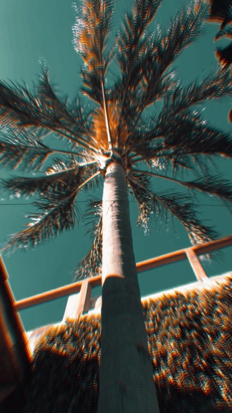 Desmon ポルノスター ホット 写真