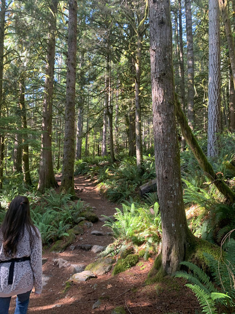 MisschievousKat 完璧な女優 画像