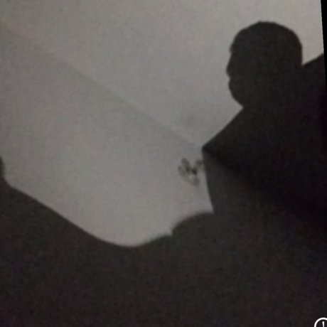 Miss and Mister セックスモデル 画像