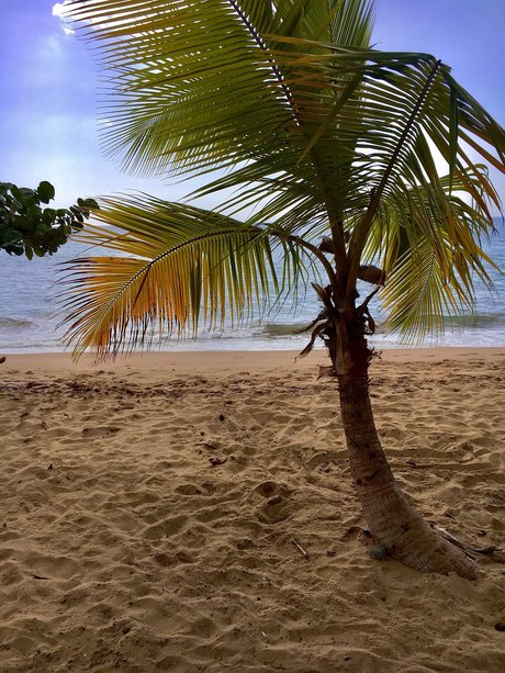 Mr JeanPi トップモデル ギャラリー