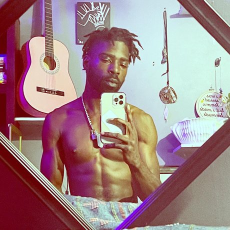 mousey s haven 高品質のスター 写真