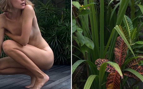 シャワーヌードOnlyFans セックス 写真