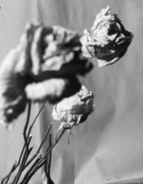 ivi ivinskaya ヌードモデル 画像