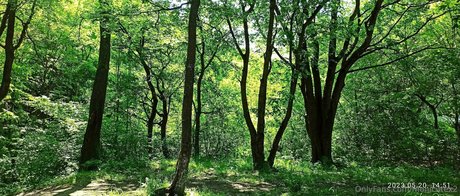 潮吹きマンコOnlyFans セクシーヌード 写真