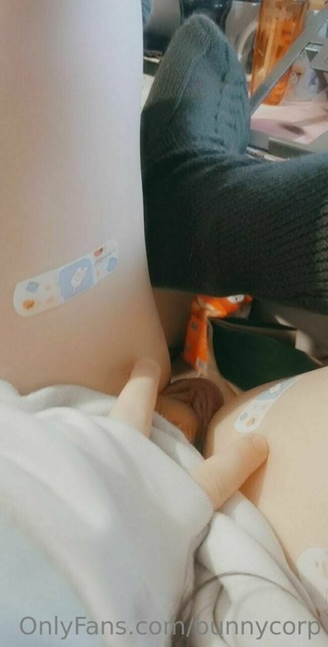 bunnycorp 美しいスター ギャラリー