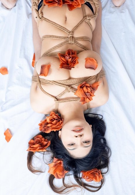 Ai Natsumi ホットモデル ギャラリー