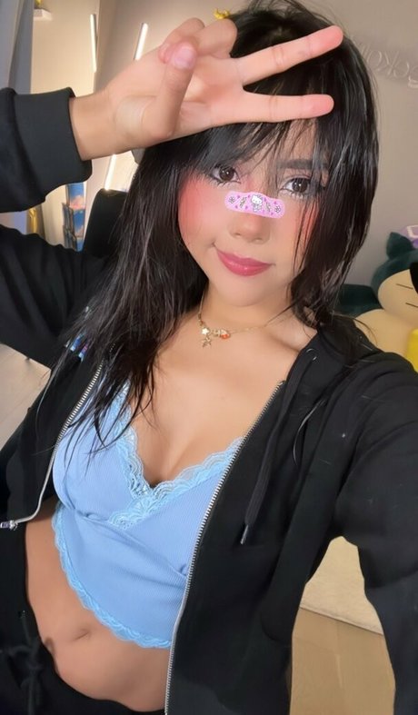 Neeko 無料モデル アーカイブ