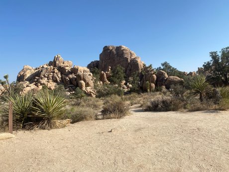 Shorty LL 独占スター ギャラリー