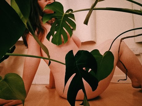 Nora_ ポルノスター エロティック 写真