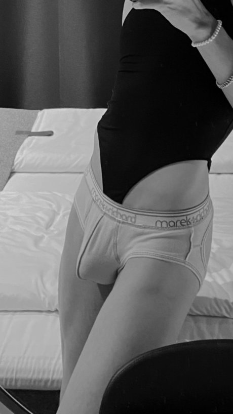 noel_ 完璧なスター 画像