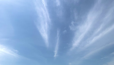 Nikki FREE inactive_ 裸モデル 画像