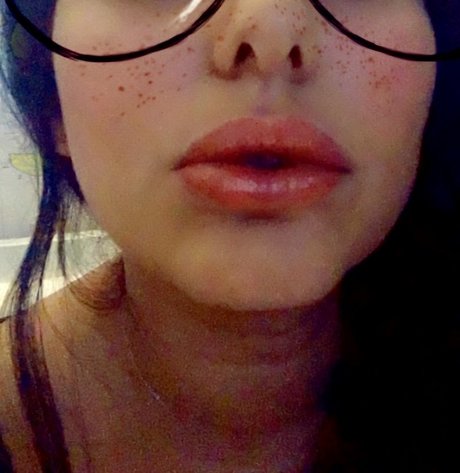 Persian Kittey 無料スター 画像