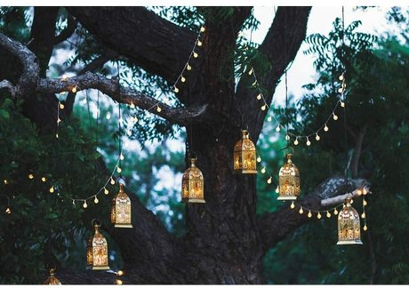 Tatted Feet ヌードのポルノスター 写真