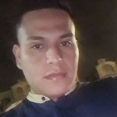 Ronald paladines ポルノスター 裸 写真