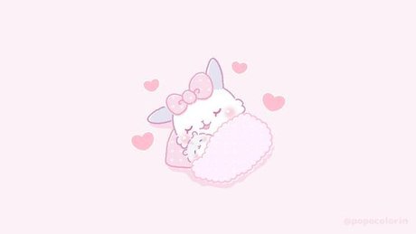 PaisleyRabbit 独占モデル 写真