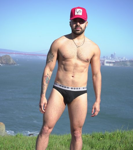 P A I S A アートスター 画像