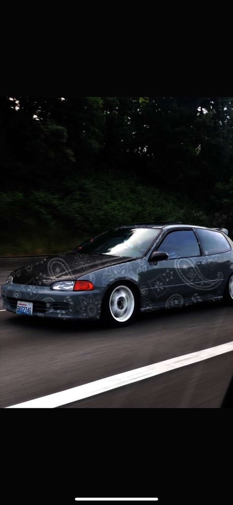 DaddyO 完璧な女優 アーカイブ