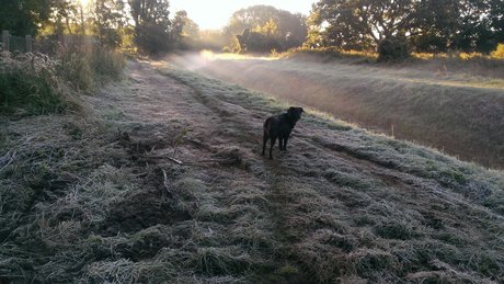 onkelbert アダルトスター アーカイブ