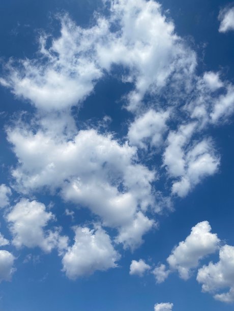 pretty richard ポルノスター 素敵 写真