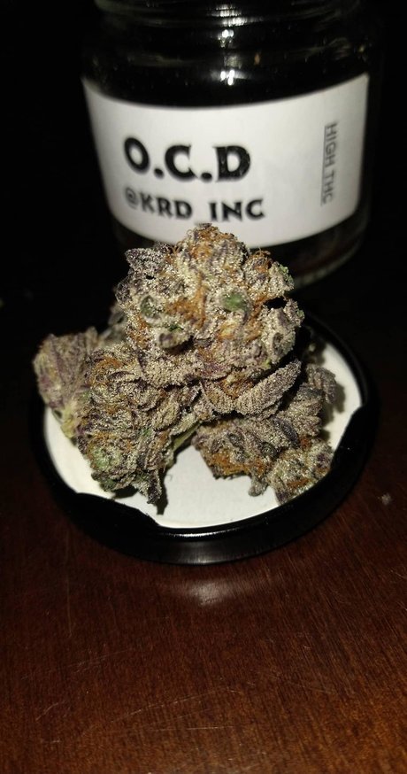 PimpinaintEz ヌードモデル 写真