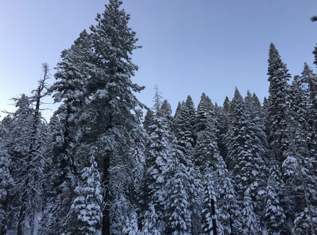 PigbottomIbanez スター ヌード アーカイブ