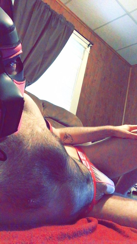 Puppy Tucker 素敵なスター 画像