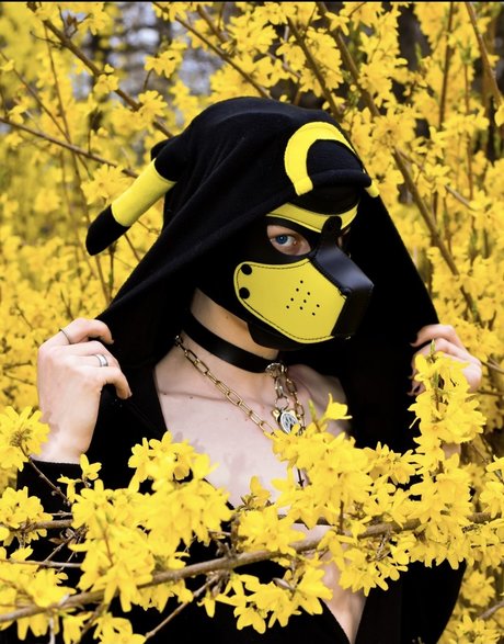 Pup Devil モデル 写真